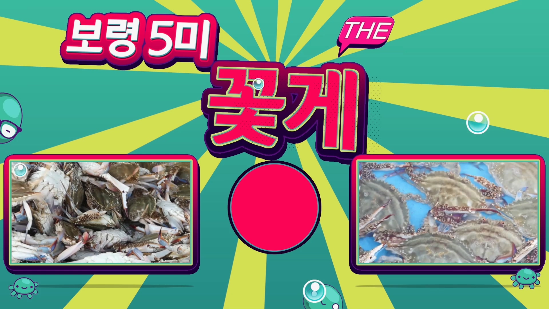 보령 5미 봄 꽃게... 구매는 어민에게 힘